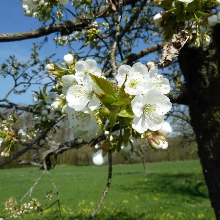 Schlossblick