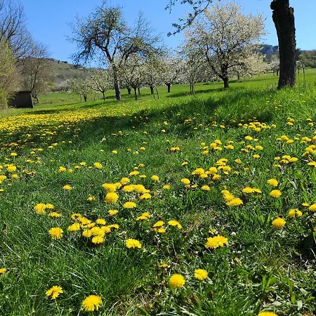 Schlossblick Appartamento Wiesenthau