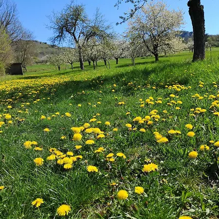 Schlossblick Appartamento Wiesenthau