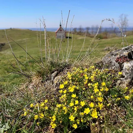 Schlossblick Lejlighed Wiesenthau