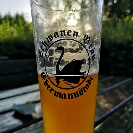 Schlossblick * Wiesenthau