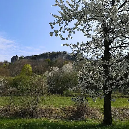 Schlossblick Apartman *